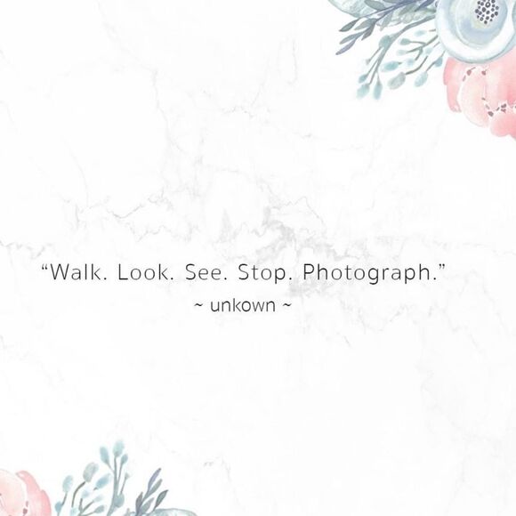 Kodak Anytime Picture Paper Soft Gloss • Inkject Printers 4"x6" 100 Sheets- NWT - Picture 4 of 4